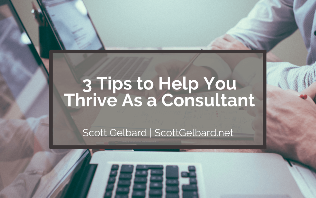 3 Tips to Help You Thrive As a Consultant